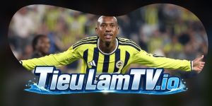 Dự Đoán Trận Fenerbahce Vs Lyon 02h00 19/08
